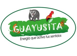 guayusita.fw